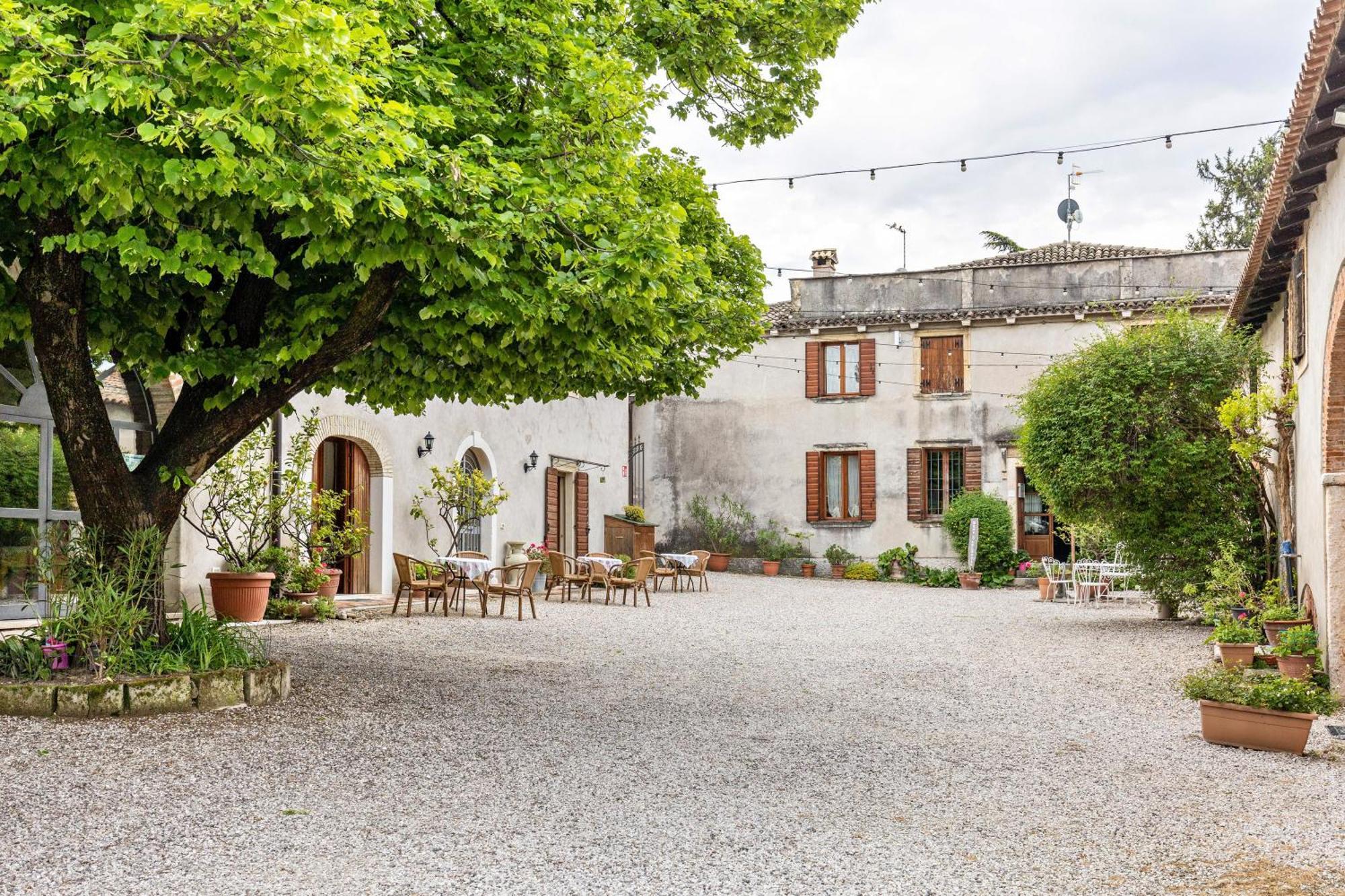 Agriturismo Della Pieve Bardolino Ngoại thất bức ảnh